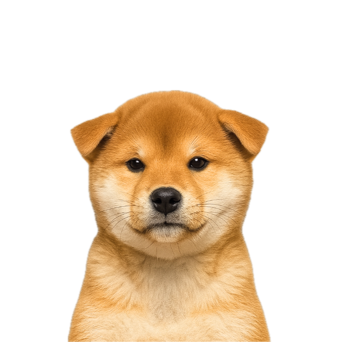 Inu